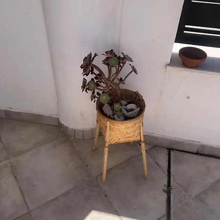 Casa Kava In A Superior Near Cabopino No Car Needed Apartment