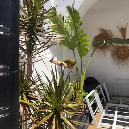 Daire Casa Kava In A Superior Near Cabopino No Car Needed Marbella