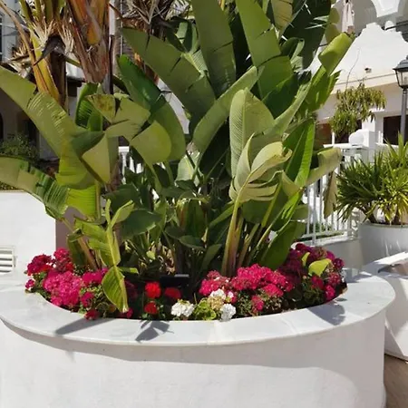 Casa Kava In A Superior Near Cabopino No Car Needed 4*