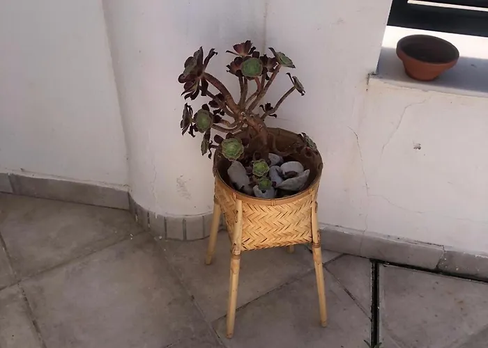 Casa Kava In A Superior Near Cabopino No Car Needed Appartement