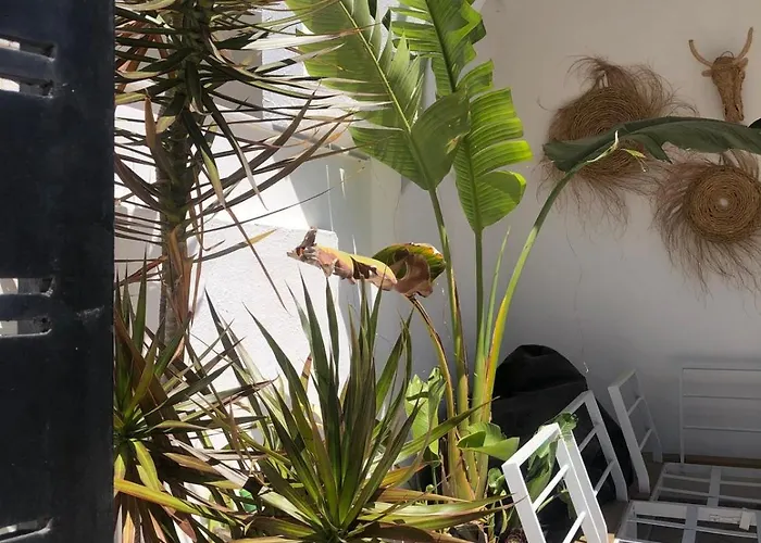 Appartement Casa Kava In A Superior Near Cabopino No Car Needed Marbellac