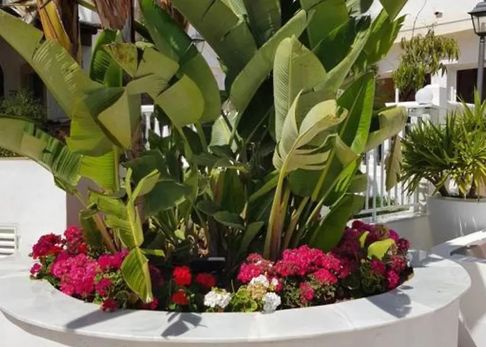 Casa Kava In A Superior Near Cabopino No Car Needed 4*