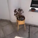 Casa Kava In A Superior Near Cabopino No Car Needed דירה